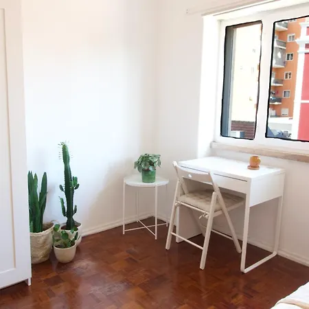 Cosmopolitan - Top Floor Homestay